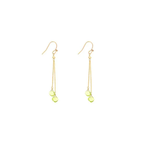 Birthstone Earrings Georgetown Jewelers Wood Dale, IL