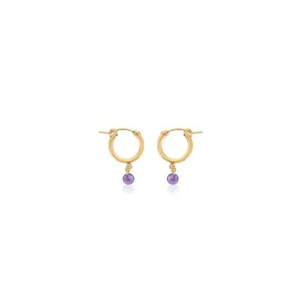 Februrary Birthstone Fashion Earrings - Amethyst similar item image