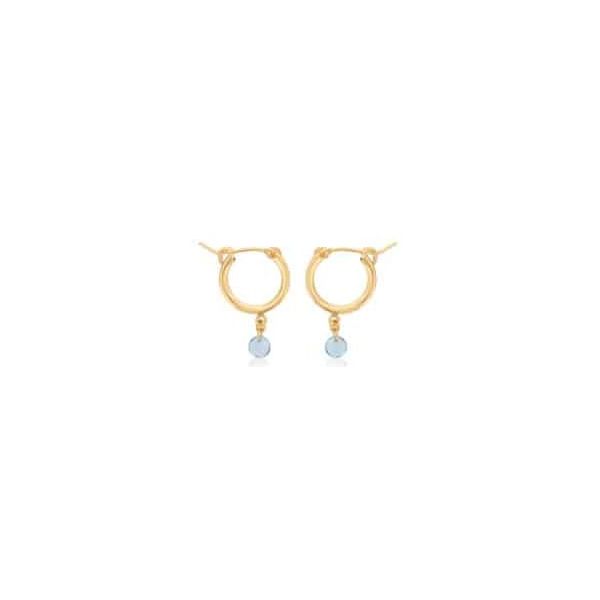 December Birthstone Fashion Earrings - Blue Topaz Georgetown Jewelers Wood Dale, IL