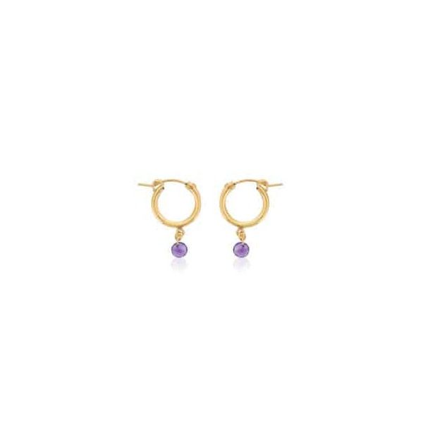 Februrary Birthstone Fashion Earrings - Amethyst Georgetown Jewelers Wood Dale, IL