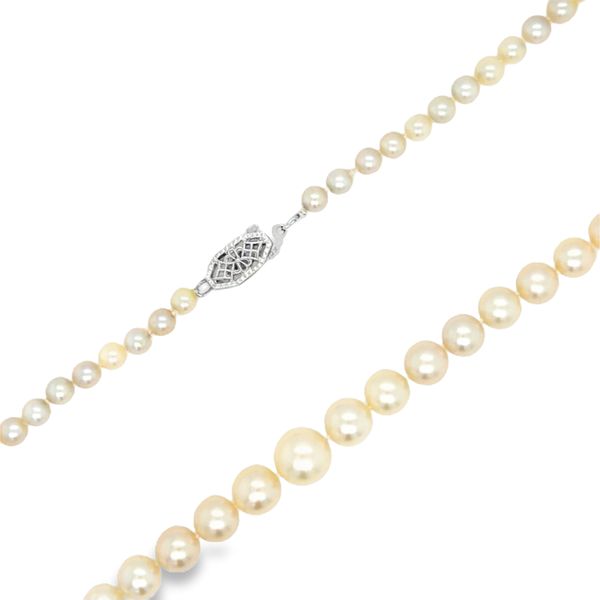 Estate 10K White Gold Graduated Pearl Necklace Georgetown Jewelers Wood Dale, IL