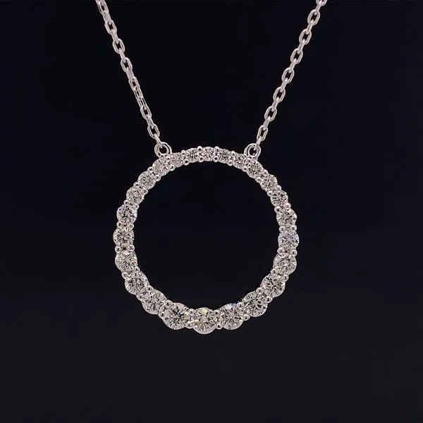 Stationary Diamond Circle Necklace Geralds Jewelry Oak Harbor, WA