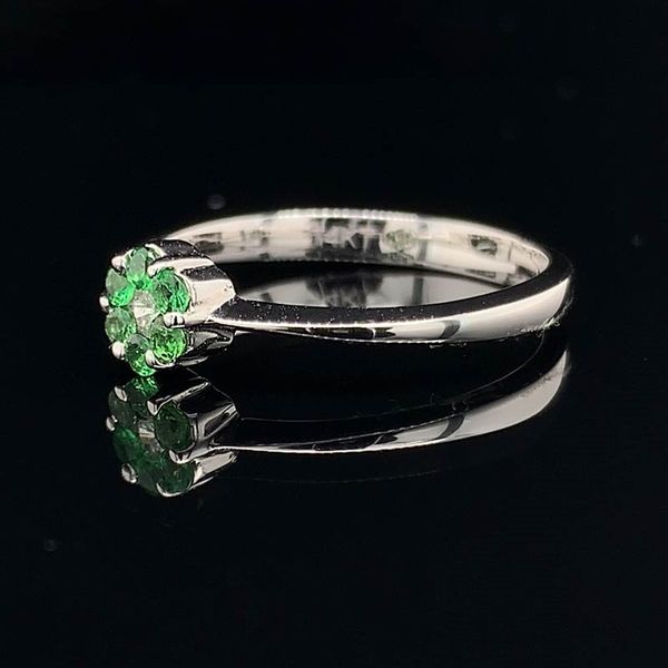 Tsavorite Garnet And Diamond Ring Image 2 Geralds Jewelry Oak Harbor, WA