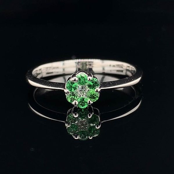 Tsavorite Garnet And Diamond Ring Geralds Jewelry Oak Harbor, WA