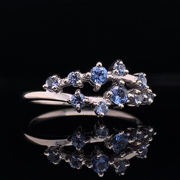 Natural Yogo Sapphire Fashion Ring, White Gold Image 2 Geralds Jewelry Oak Harbor, WA