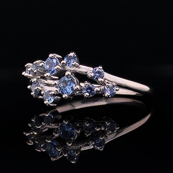 Natural Yogo Sapphire Fashion Ring, White Gold Image 3 Geralds Jewelry Oak Harbor, WA