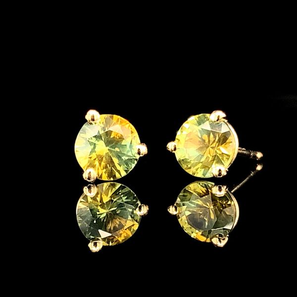 Natural Bi-Color Montana Sapphire Stud Earrings Image 2 Geralds Jewelry Oak Harbor, WA