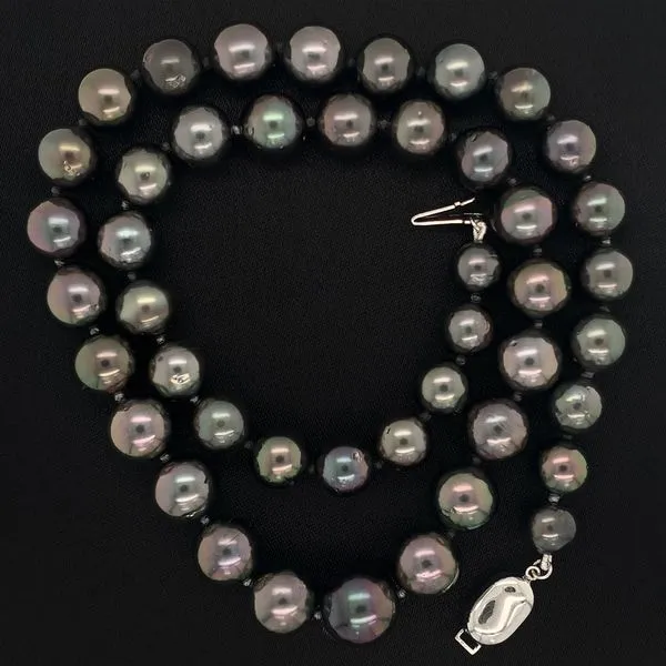 Tapered Peacock Tahitian Pearl Strand Image 3 Geralds Jewelry Oak Harbor, WA
