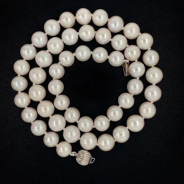 AAA Freshwater Pearl Strand with 14K White Gold Pearl Clasp Image 2 Geralds Jewelry Oak Harbor, WA