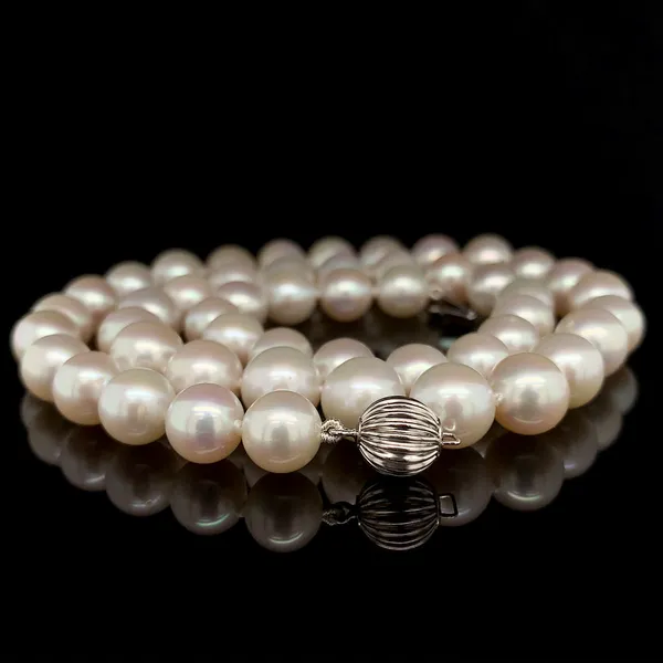 AAA Freshwater Pearl Strand with 14K White Gold Pearl Clasp Geralds Jewelry Oak Harbor, WA