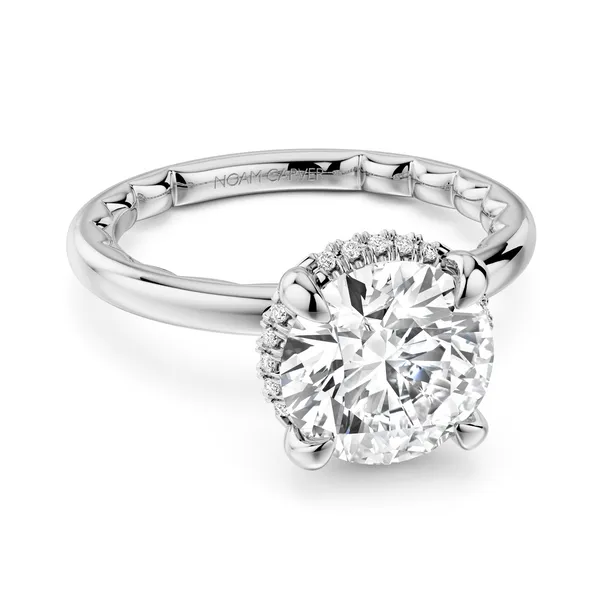 PLATINUM 1.8MM HIDDEN HALO DIAMOND SEMI-MOUNT Gary J. Long Jewelers Stockton, CA
