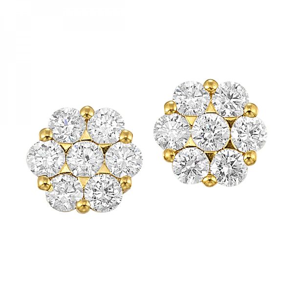 Diamond Earrings Godwin Jewelers, Inc. Bainbridge, GA