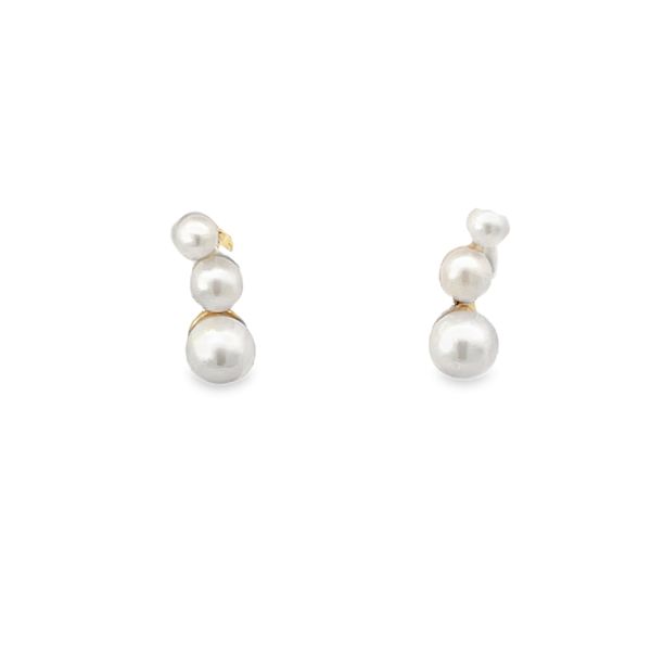 Earrings Godwin Jewelers, Inc. Bainbridge, GA