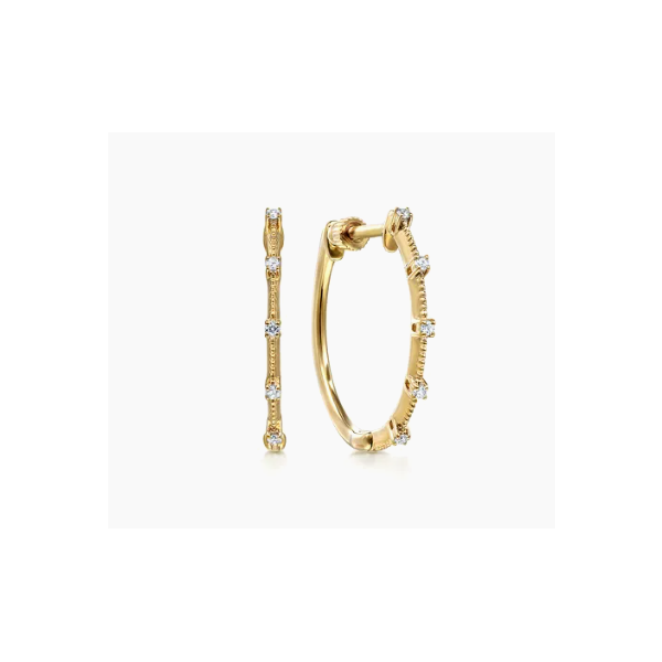 Earrings Godwin Jewelers, Inc. Bainbridge, GA