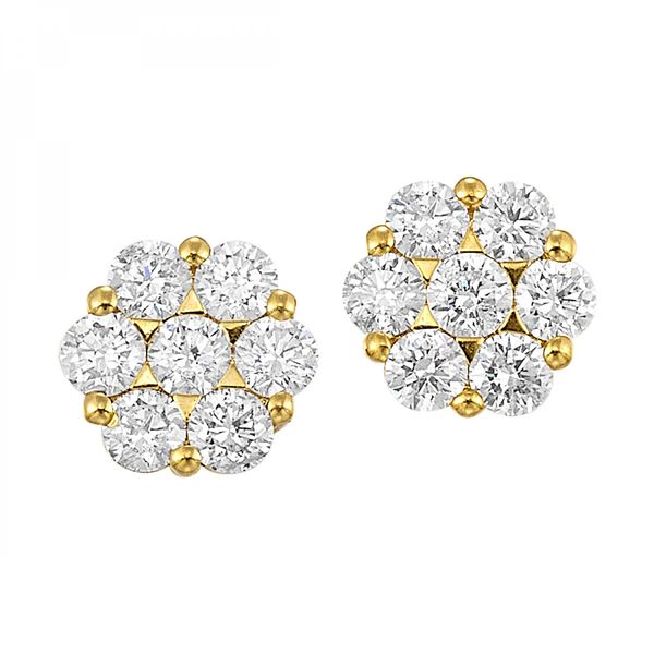 Earrings Godwin Jewelers, Inc. Bainbridge, GA