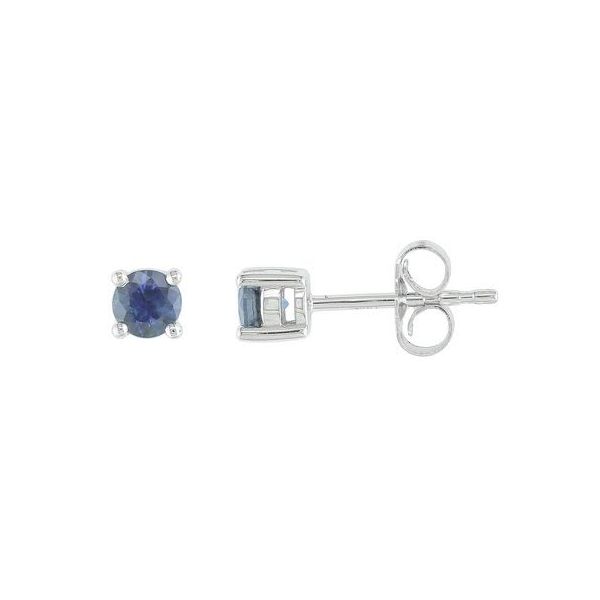 Earrings Godwin Jewelers, Inc. Bainbridge, GA