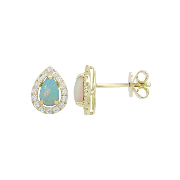 Earrings Godwin Jewelers, Inc. Bainbridge, GA