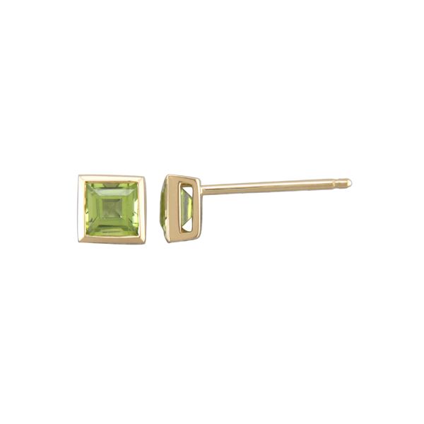 Earrings Godwin Jewelers, Inc. Bainbridge, GA
