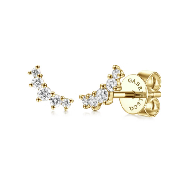 Earrings Godwin Jewelers, Inc. Bainbridge, GA