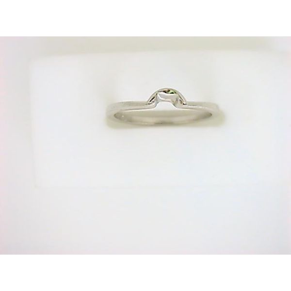 FD 14K White Gold Women's Wedding Band Godwin Jewelers, Inc. Bainbridge, GA