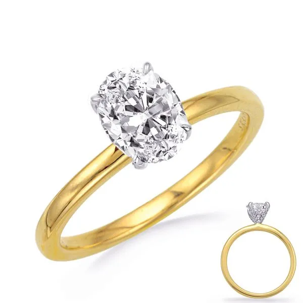 Diamond Semi-Mount Ring Godwin Jewelers, Inc. Bainbridge, GA
