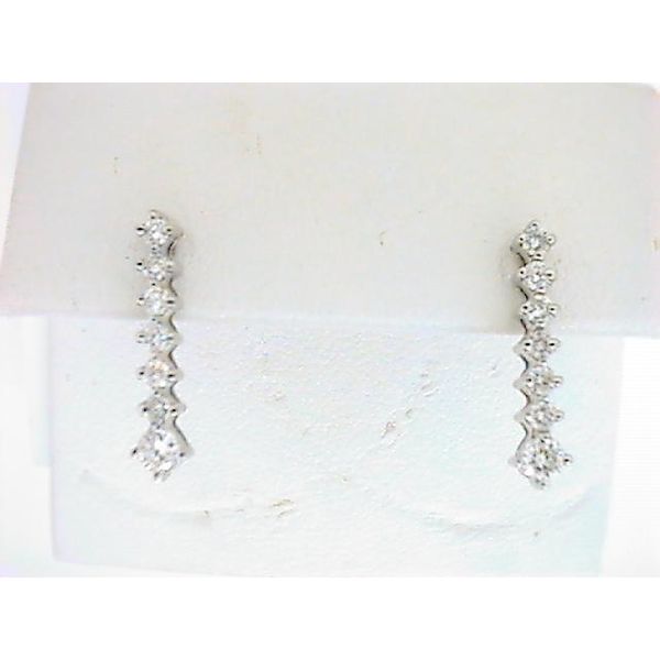 SMM 14K White Gold Diamond Earrings Godwin Jewelers, Inc. Bainbridge, GA