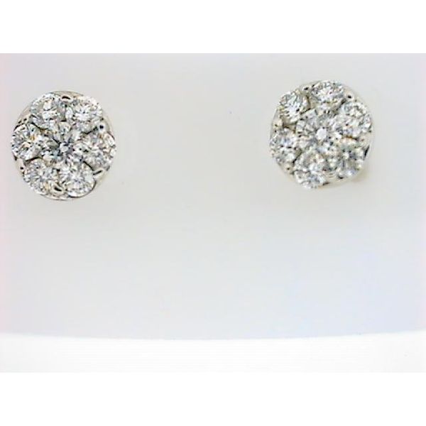 FD 14K White Gold Diamond Earrings Godwin Jewelers, Inc. Bainbridge, GA