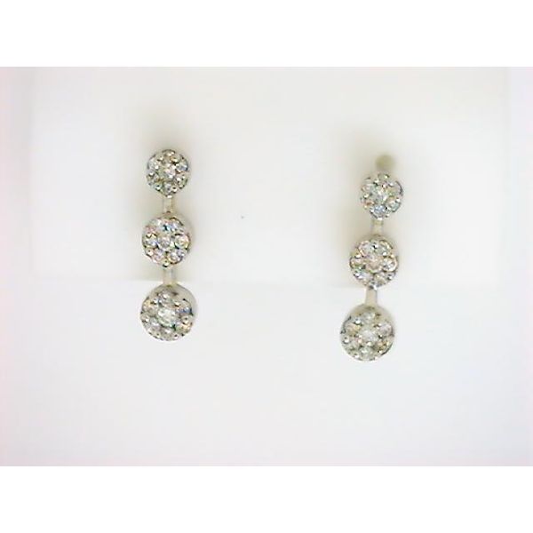 NTR 18K White Gold Diamond Earrings Godwin Jewelers, Inc. Bainbridge, GA