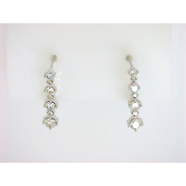 DD 14K White Gold Diamond Earrings Godwin Jewelers, Inc. Bainbridge, GA
