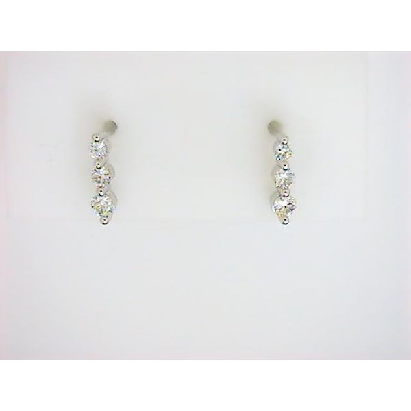 SIM 14K White Gold Diamond Earrings Godwin Jewelers, Inc. Bainbridge, GA