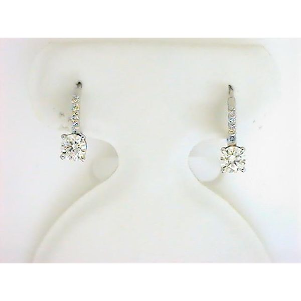 DD 14K White Gold Diamond Earrings Godwin Jewelers, Inc. Bainbridge, GA