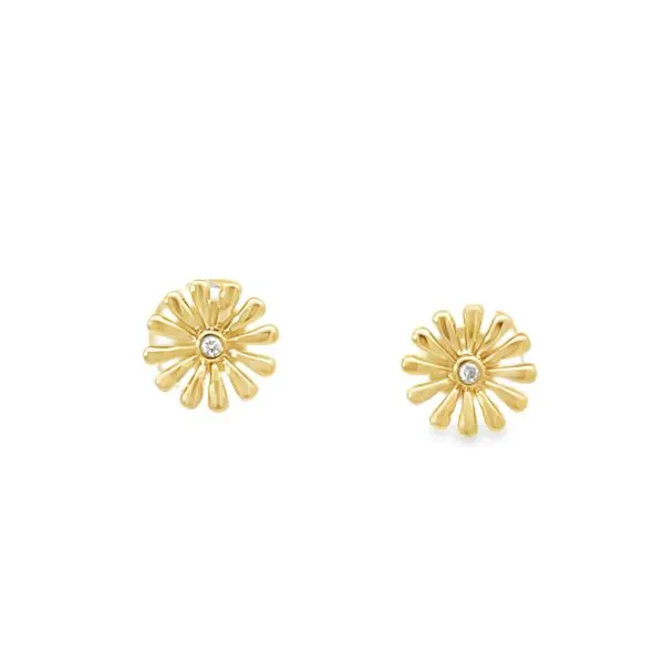 Diamond Earrings Godwin Jewelers, Inc. Bainbridge, GA