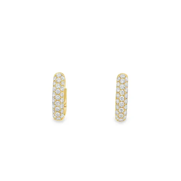 Diamond Earrings Godwin Jewelers, Inc. Bainbridge, GA