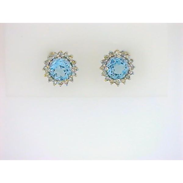 SMM 14K White Gold Colored Stone Earrings Godwin Jewelers, Inc. Bainbridge, GA