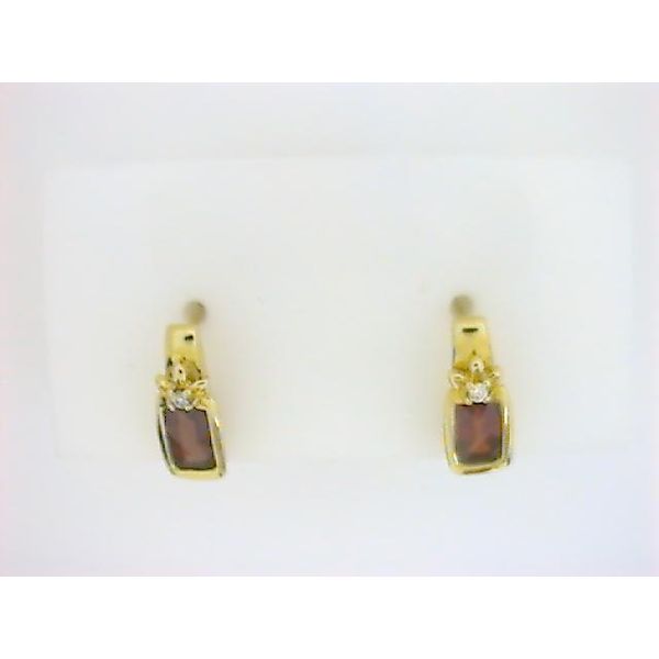 SMM 14K Yellow Gold Colored Stone Earrings Godwin Jewelers, Inc. Bainbridge, GA