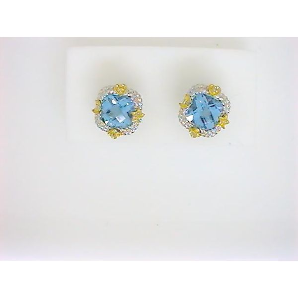 SH Unknown Two-Tone Colored Stone Earrings Godwin Jewelers, Inc. Bainbridge, GA