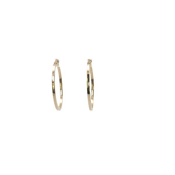 Gold Earrings Godwin Jewelers, Inc. Bainbridge, GA