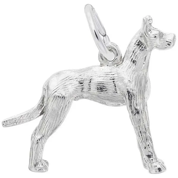 Silver Charm similar item image