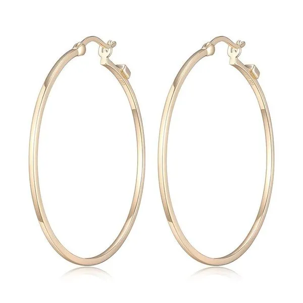 Silver Earrings similar item image