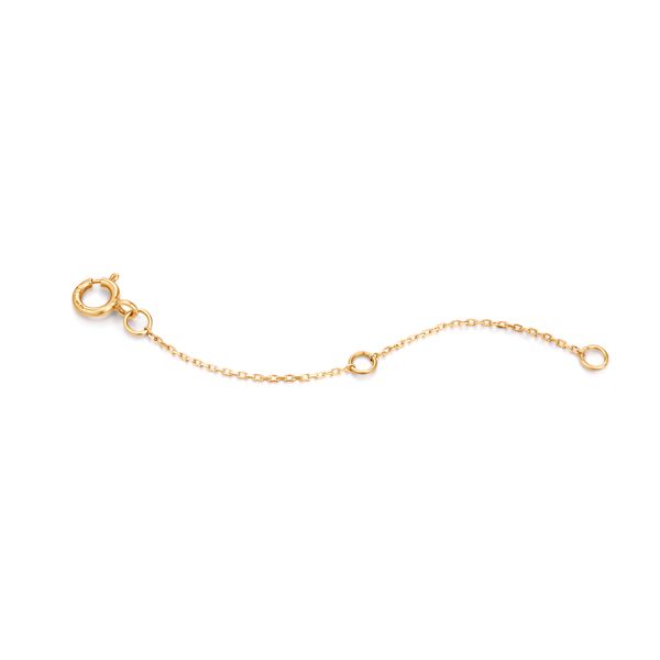 AH 14K Yellow Gold Ania Haie Jewelry Godwin Jewelers, Inc. Bainbridge, GA