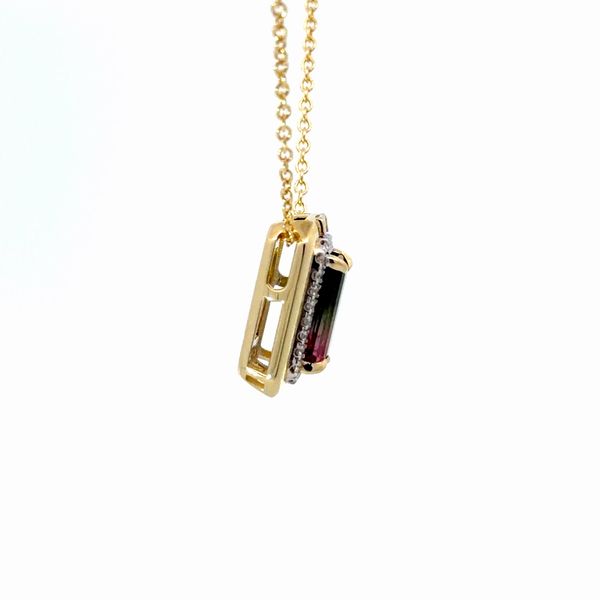 14K Yellow Watermelon Tourmaline Necklace Image 3 Golden Gifts Jewelry Milford, PA