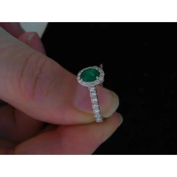 Women's Diamond Wedding Band Golden Sails Jewelers, Inc. Saint Petersburg, FL