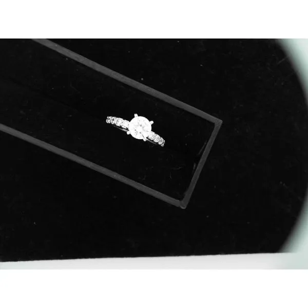 Semi-Mount Engagement Ring Golden Sails Jewelers, Inc. Saint Petersburg, FL