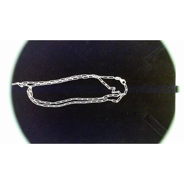 Gold Necklace Golden Sails Jewelers, Inc. Saint Petersburg, FL