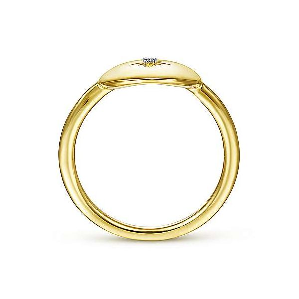 Gabriel Diamond Oval Medallion Ring Image 2 Goldstein's Jewelers Mobile, AL