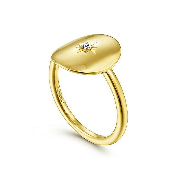 Gabriel Diamond Oval Medallion Ring Image 3 Goldstein's Jewelers Mobile, AL