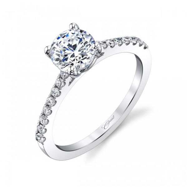 Coast Diamond Engagement Ring Image 2 Goldstein's Jewelers Mobile, AL