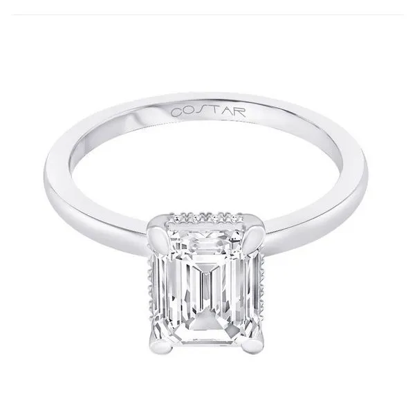 WHITE 14 KARAT GOLD 0.07 CARAT DIAMOND HIDDEN HALO ENGAGEMENT RING SETTING Image 2 Goldstein's Jewelers Mobile, AL