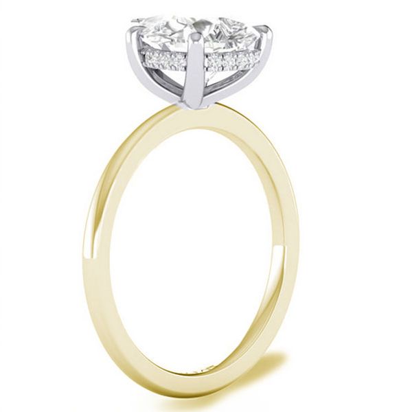 Diamond Hidden Halo Engagement Ring Setting Image 3 Goldstein's Jewelers Mobile, AL