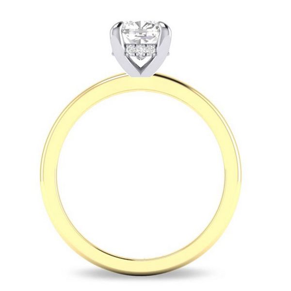 Diamond Hidden Halo Engagement Ring Setting Image 4 Goldstein's Jewelers Mobile, AL